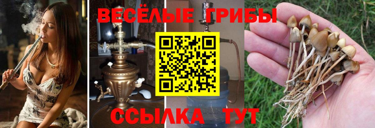 Псилоцибиновые грибы ЛСД Ачхой-Мартан